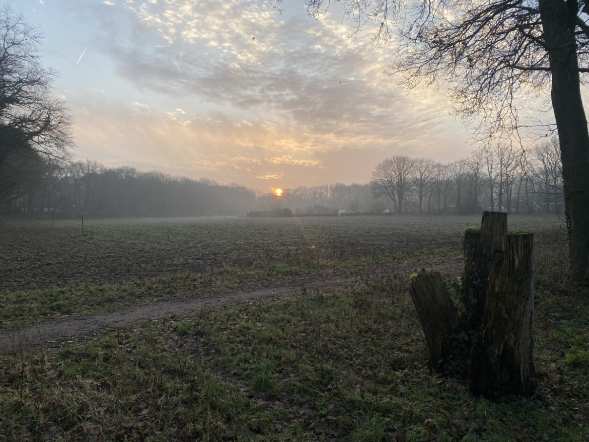 Zonnig winterweer op komst