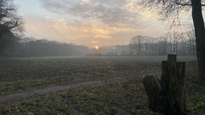 Zonnig winterweer op komst