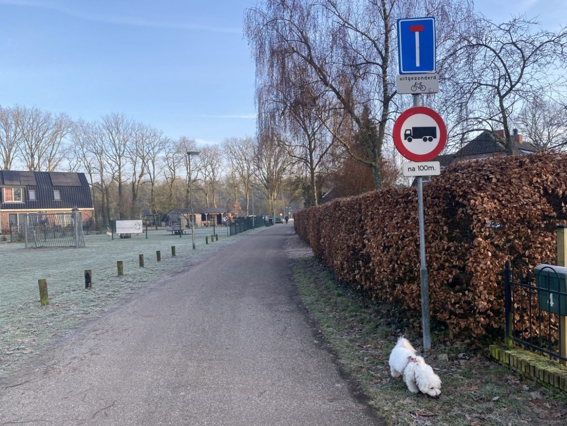 Scheperbuurt komt vanavond in Actie!
