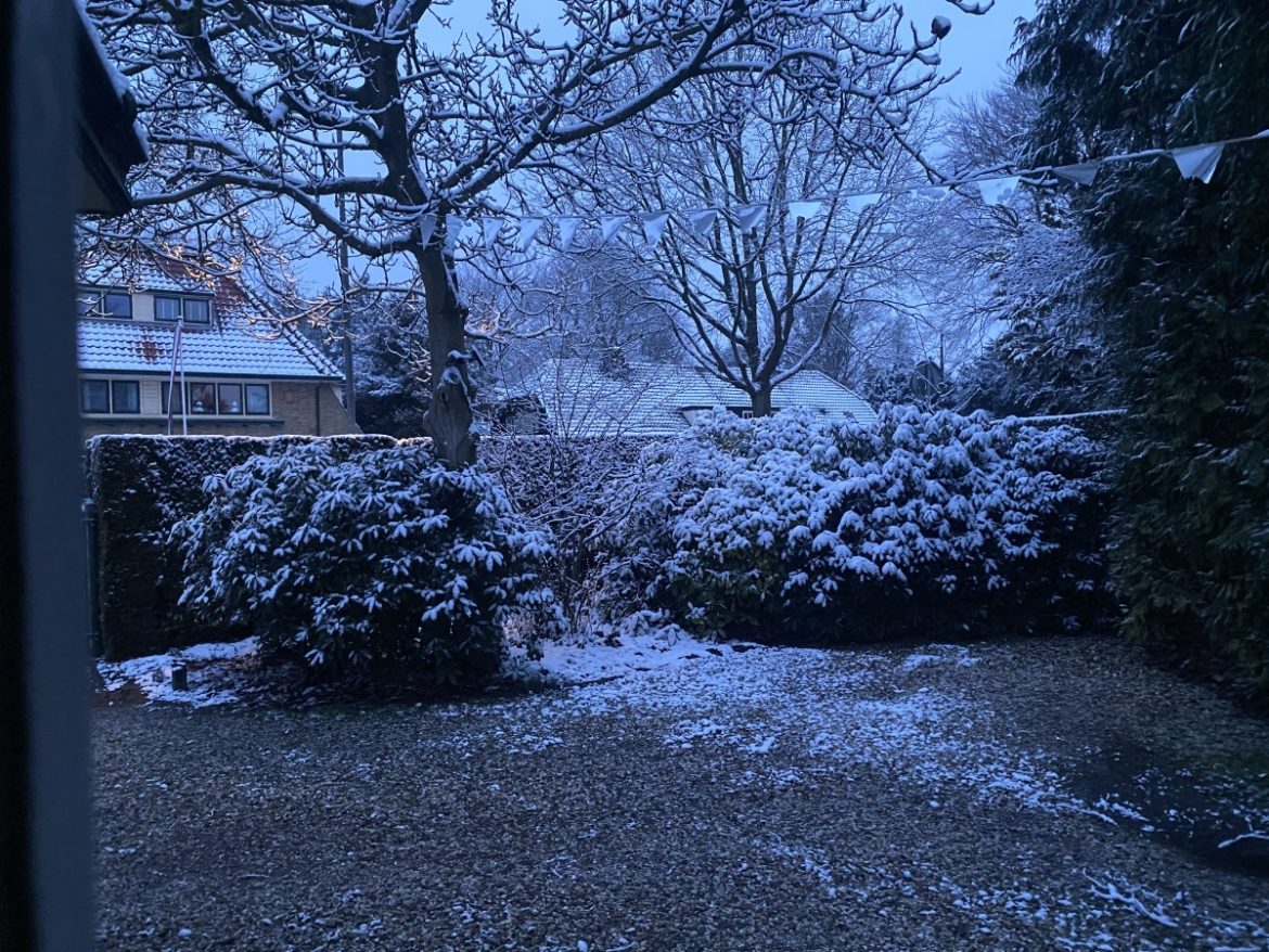 Woensdag: 2502x bekeken +Top 10 meest gelezen berichten