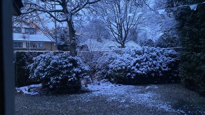 Woensdag: 2502x bekeken +Top 10 meest gelezen berichten