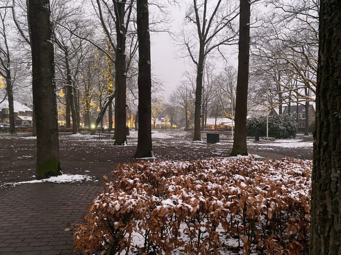 Vrijdag:1888x bekeken + Top 10 meest gelezen berichten