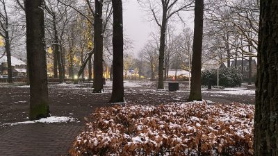 Vrijdag:1888x bekeken + Top 10 meest gelezen berichten