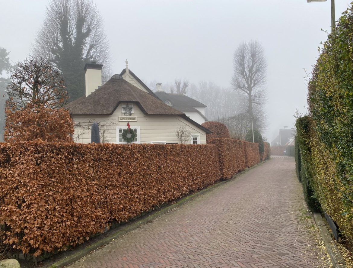 Nieuwjaar,1 januari: 3418 x bekeken +top 10 meest gelezen berichten