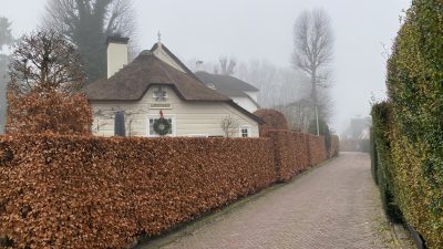 Nieuwjaar,1 januari: 3418 x bekeken +top 10 meest gelezen berichten