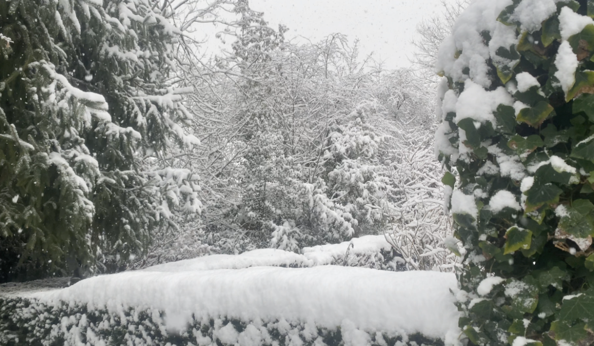 5-10 cm sneeuw! Code oranje met langere files en opnieuw minder treinen, bussen en vliegtuigen