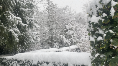 5-10 cm sneeuw! Code oranje met langere files en opnieuw minder treinen, bussen en vliegtuigen