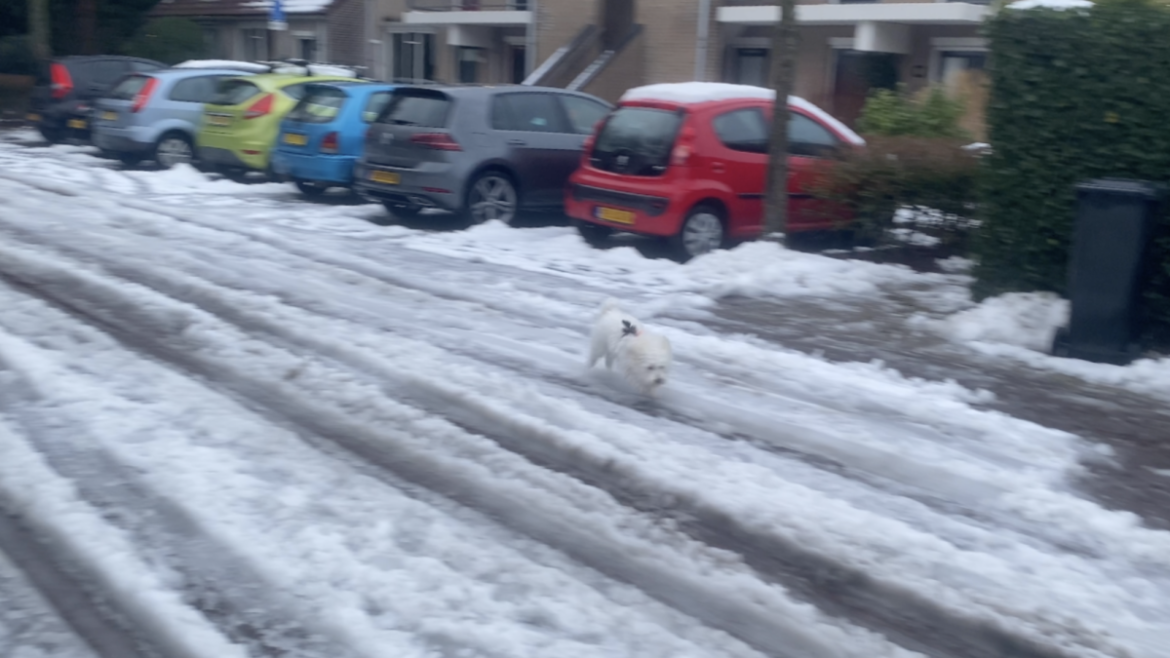 Dooi, let op stoepen, paden…