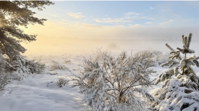 ‘Het was op en top Genieten met een hoofdletter G.’ column boswachter Daan