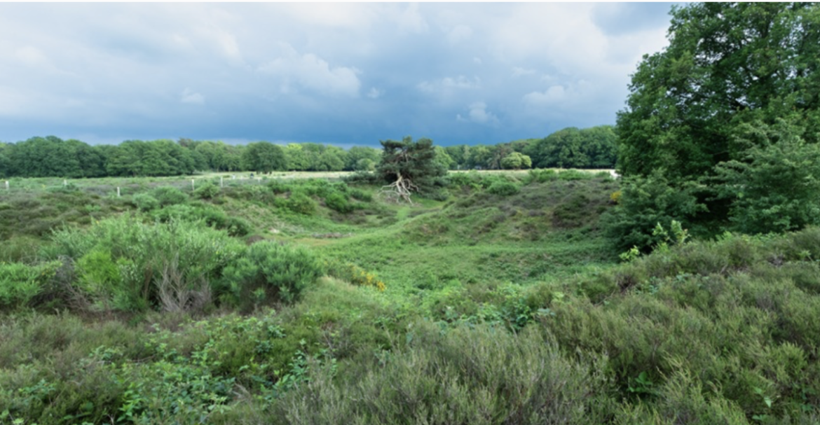 Tip: Koningslezing Matthijs Schouten, 5 februari in Bussum