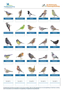 Nationale vogeltelling