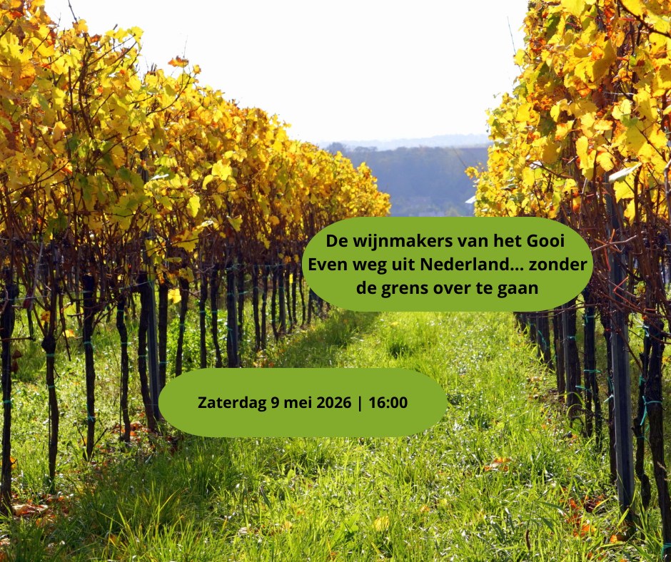 Wijngaard Zonnestraal