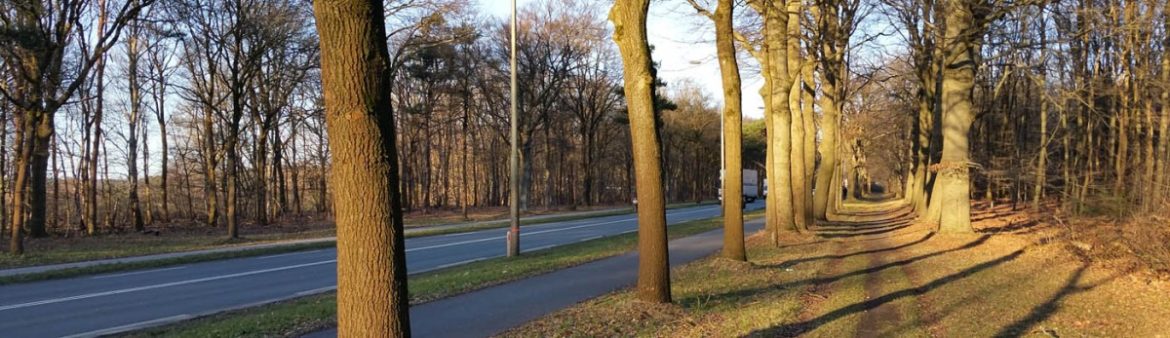 Natuurbrug Westerheide (N525)