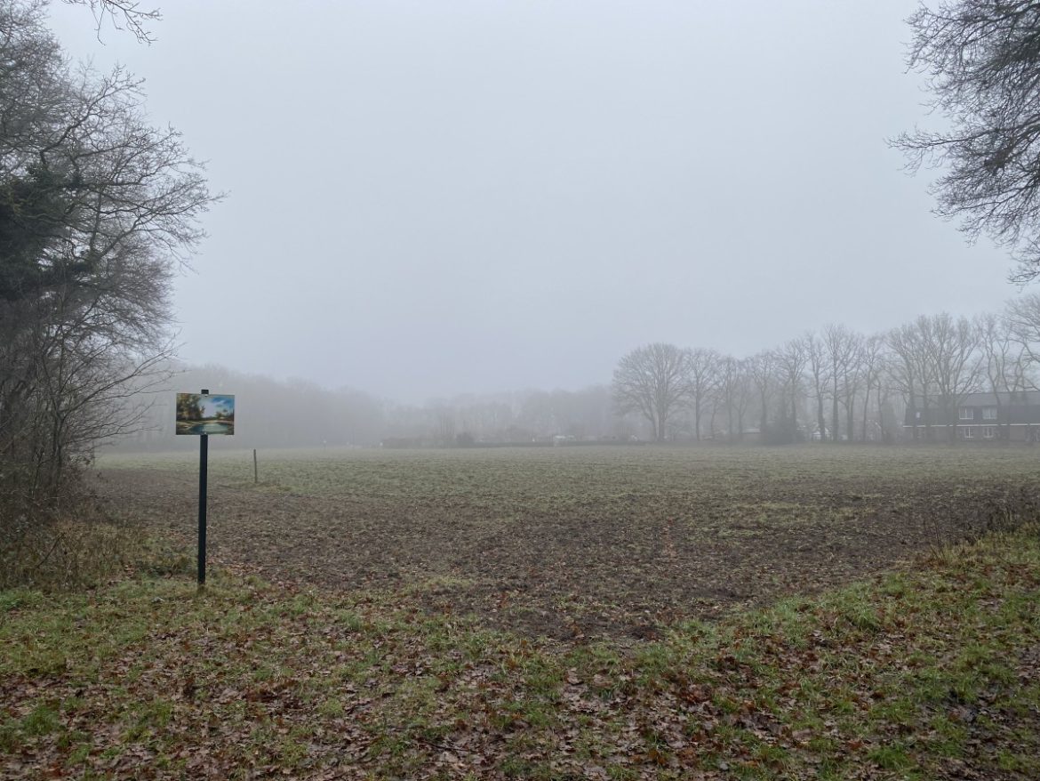 Vrijdag: 1931x bekeken +Top 10 meest gelezen berichten