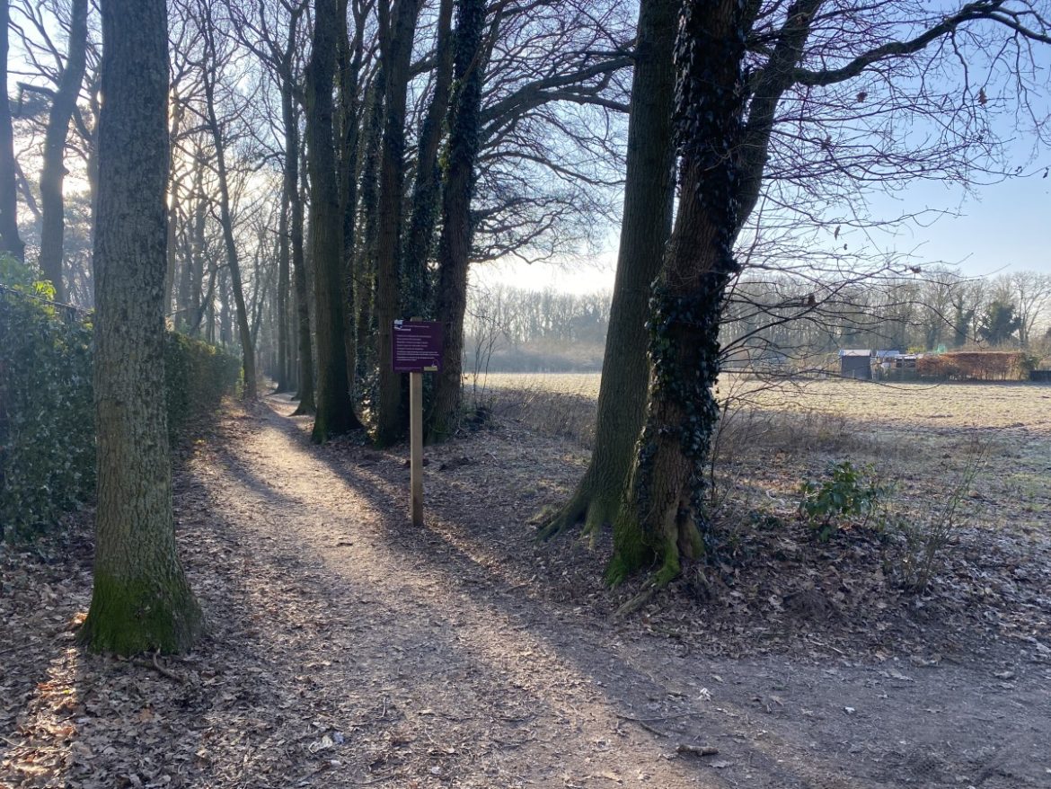 Dinsdag: 2556x bekeken +Top 10 meest gelezen berichten