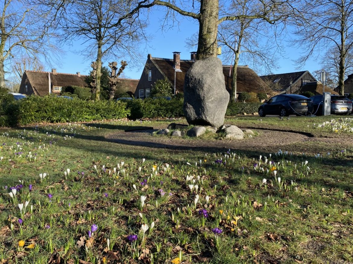 Donderdag:1310x bekeken +Top 10 meest gelezen berichten