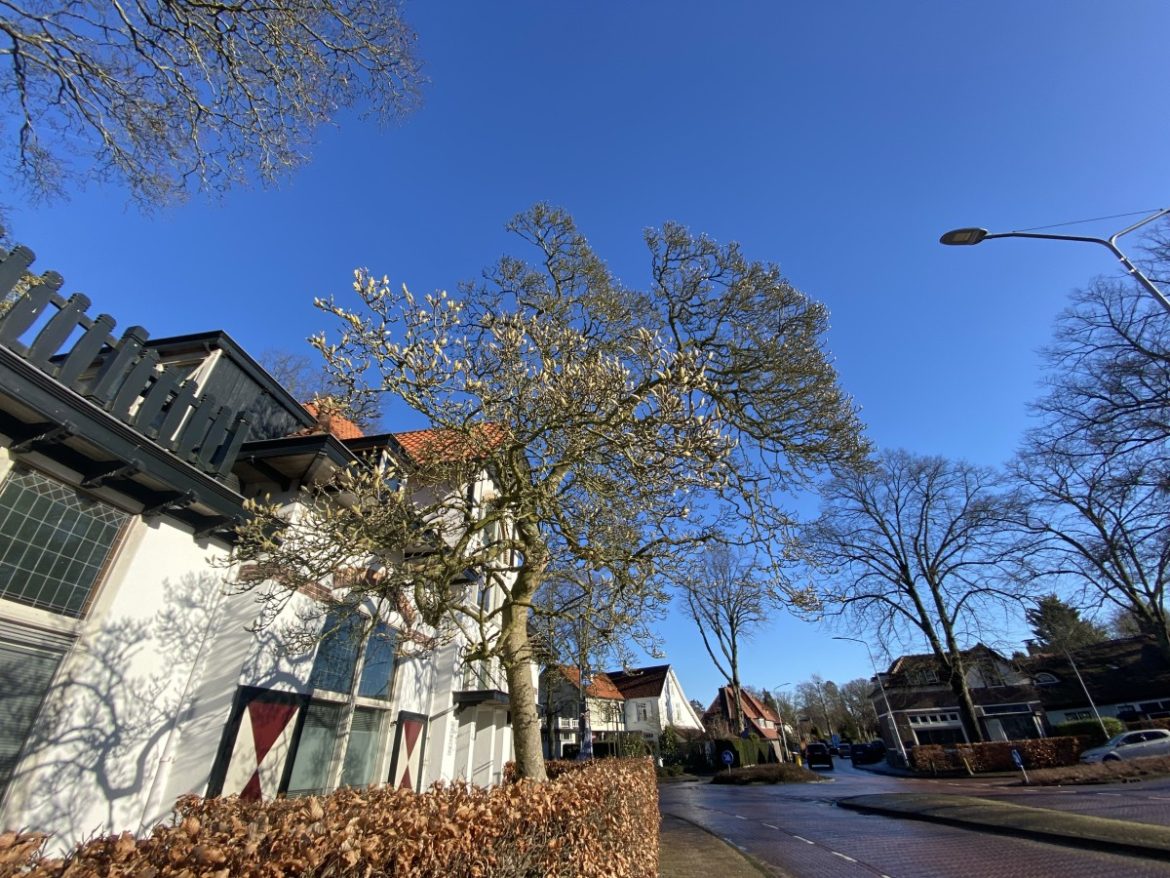 Vrijdag:1357x bekeken +Top 10 meest gelezen berichten