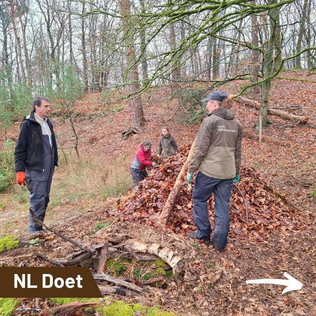 NLdoet…