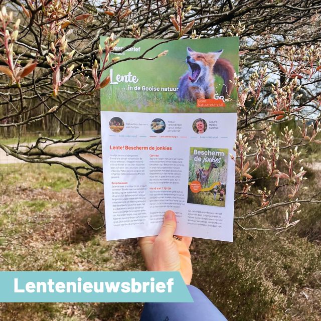 Lentenieuwsbrief…