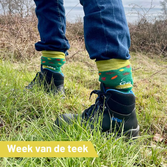 Week van de Teek