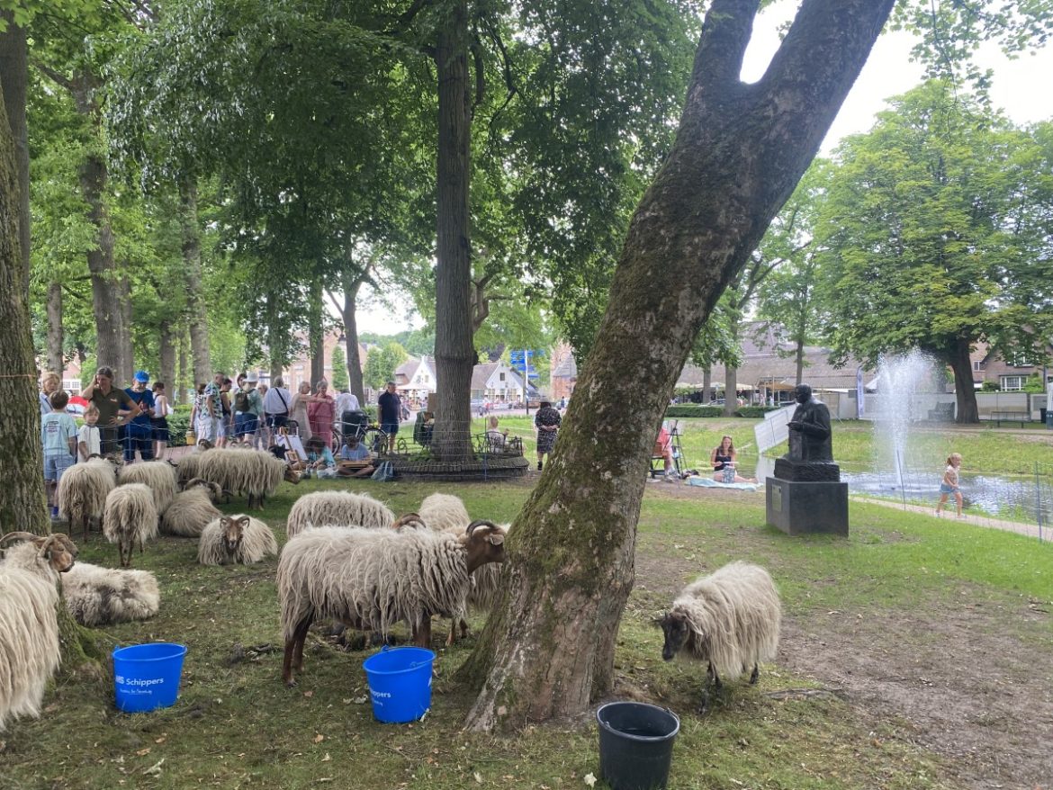 Inschrijving Schilderwedstrijd op de Brink