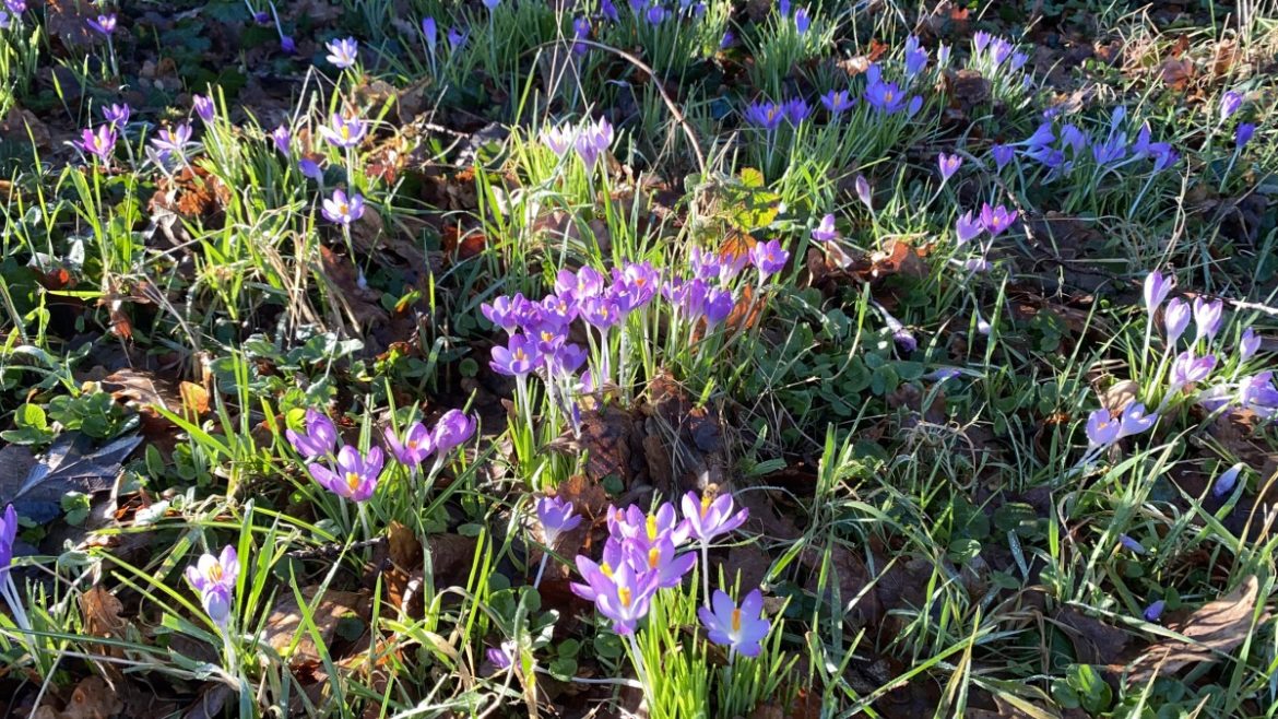 Zondag: 1578x bekeken +Top 10 meest gelezen berichten