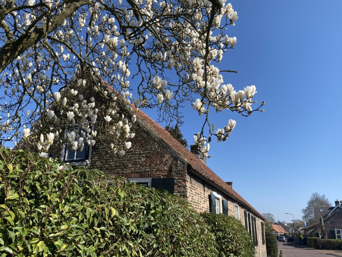 Zaterdag:1762 x bekeken +Top 10 meest gelezen berichten