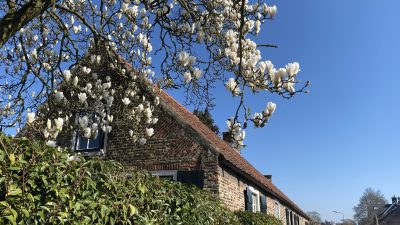 Zaterdag:1762 x bekeken +Top 10 meest gelezen berichten