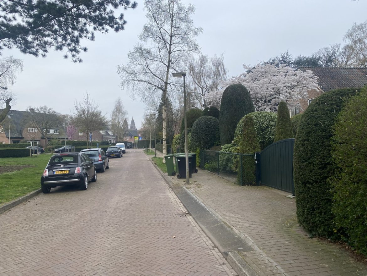 Maandag:1865x bekeken +Top 10 meest gelezen berichten