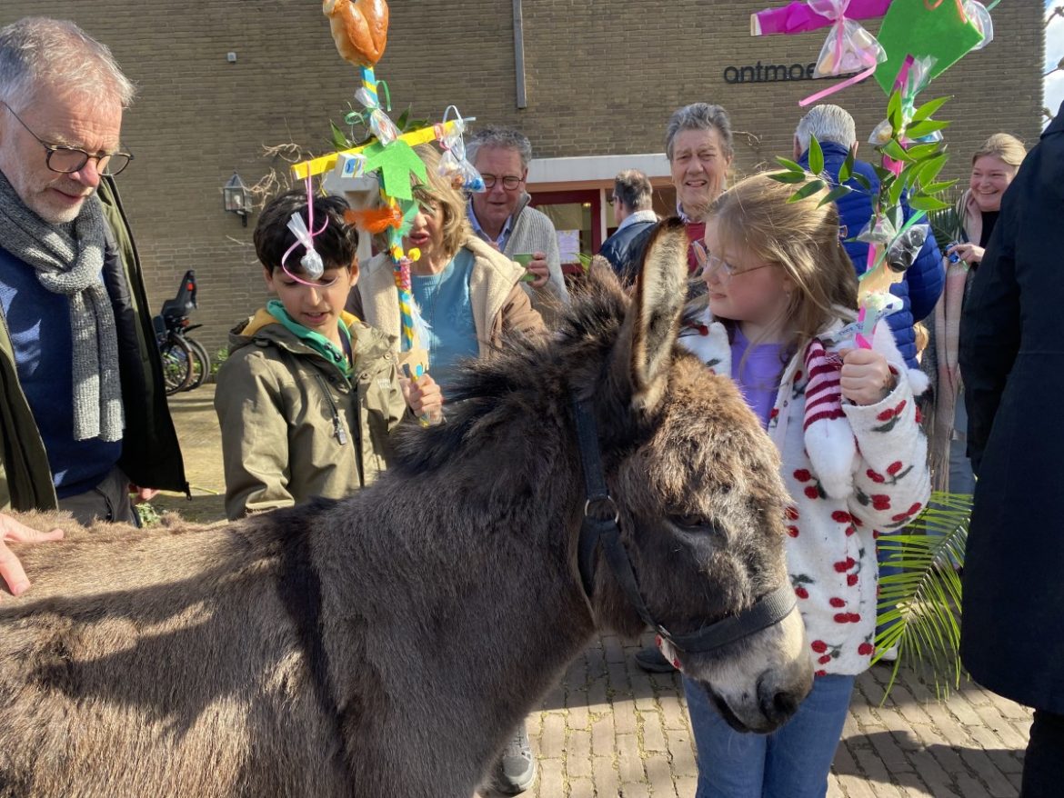 Ook in Ontmoetingskerk Palmpasen… met een ezeltje