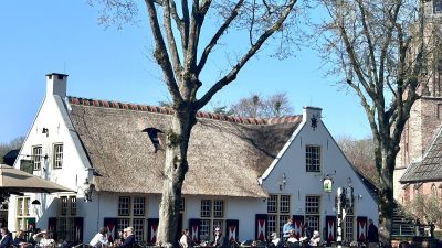 Larense kunstenaars exposeren