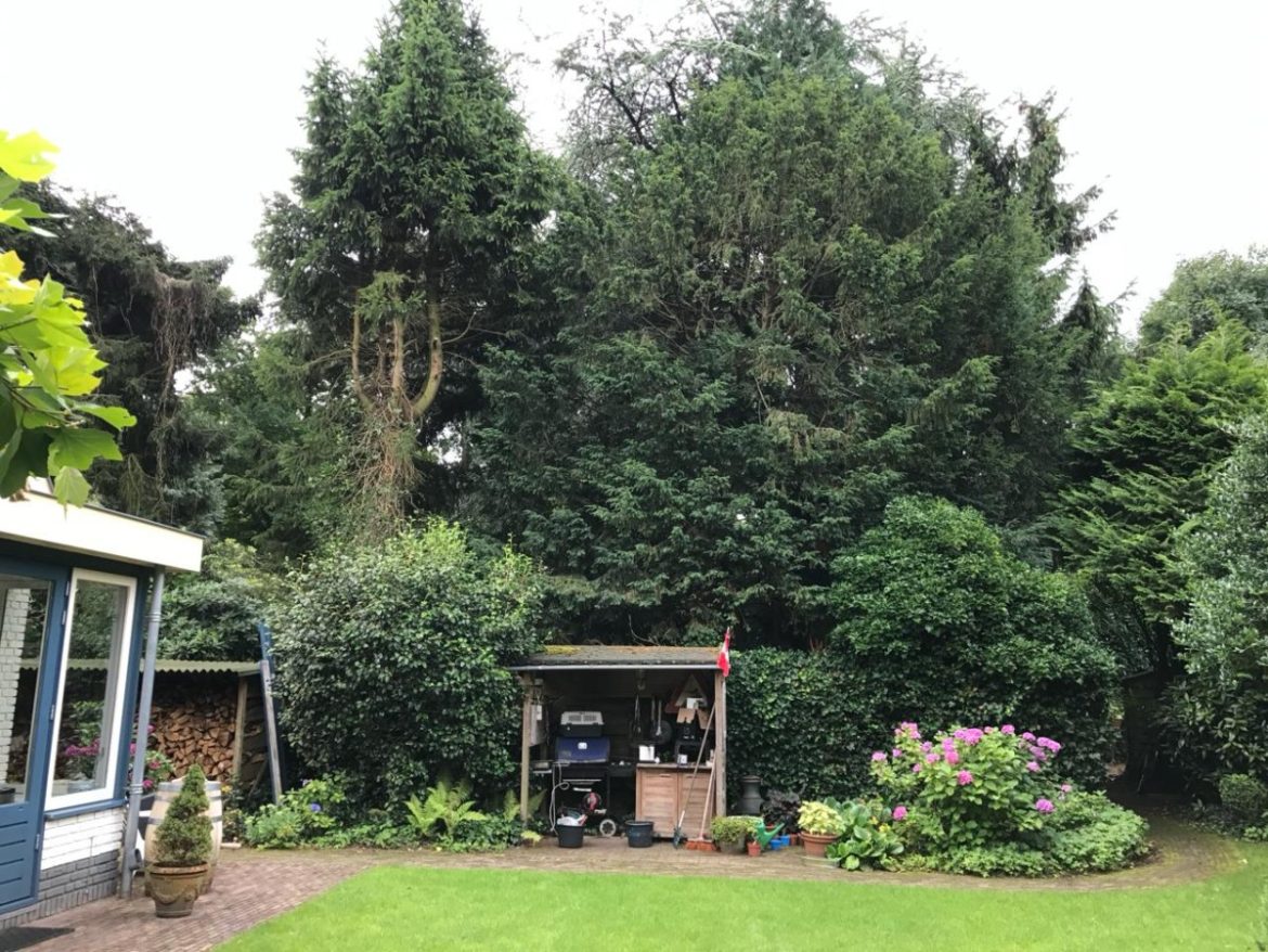 bol-an 290:  Hou Laren groen!