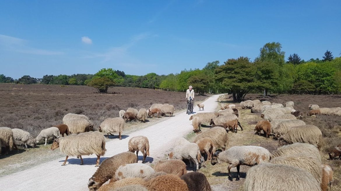 Fiets en Wandelroutes Laren ; haal ze in het Brinkhuis