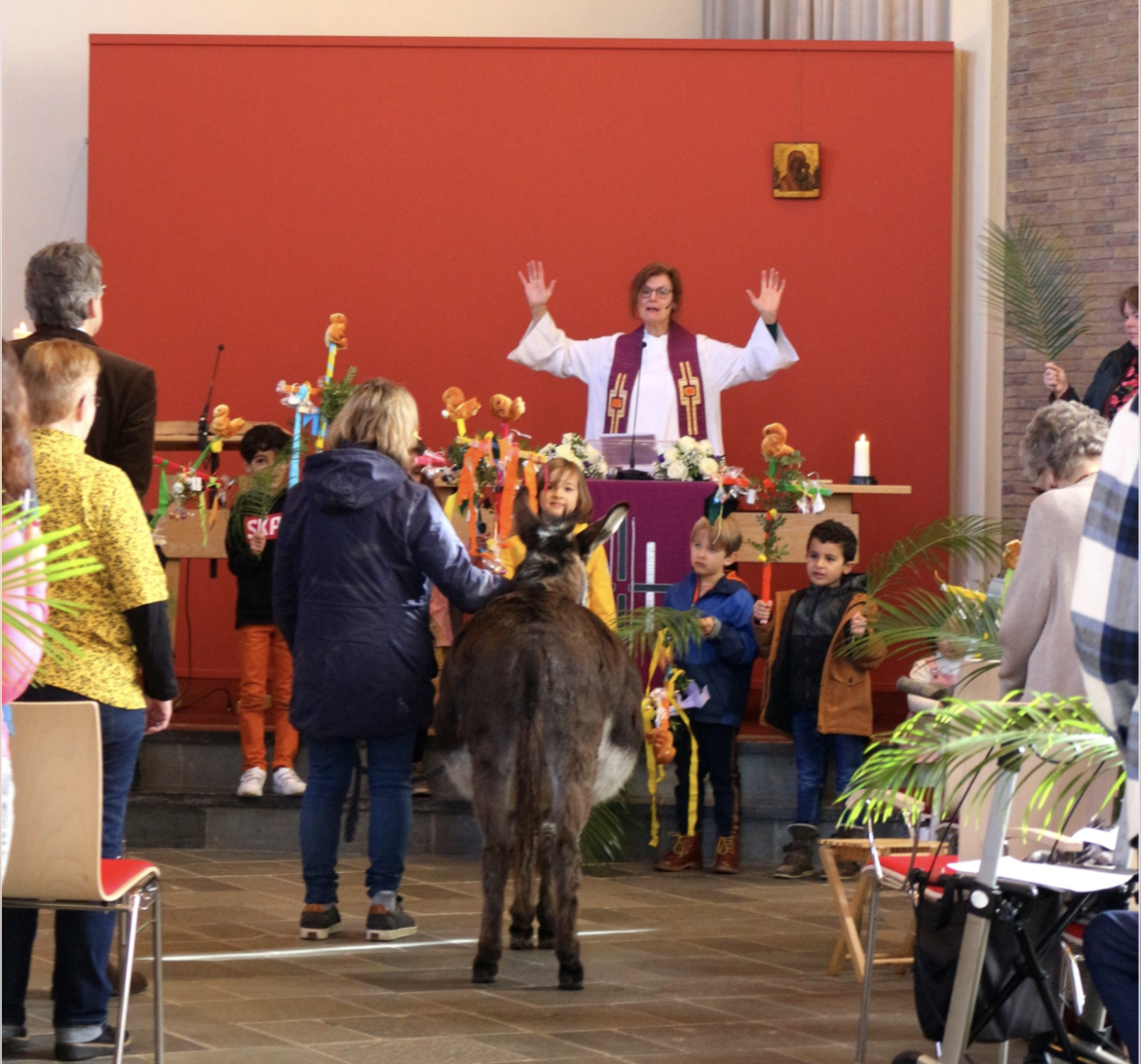 Palm, Palmpasen Ei Koerei…