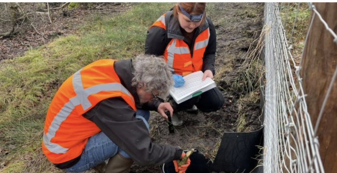 Natuurverbindingen vanuit kikkerperspectief