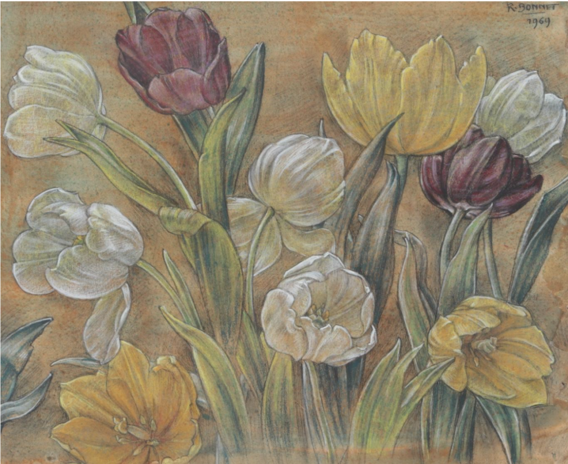 Woensdag: 1893x bekeken +Top 10 meest gelezen berichten