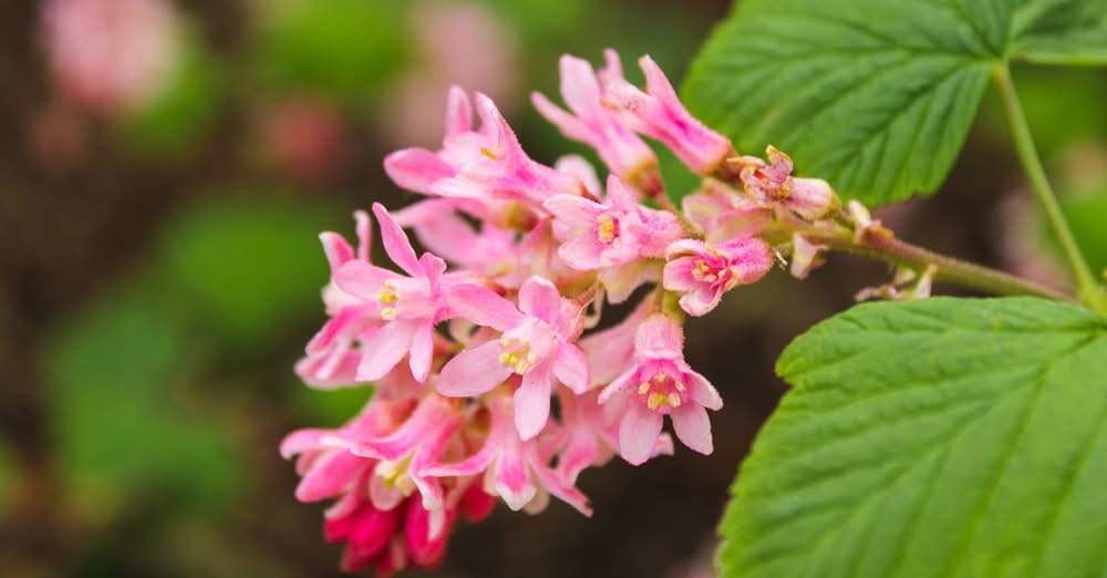 Maandag:2518 x bekeken + Top 10 meest gelezen berichten