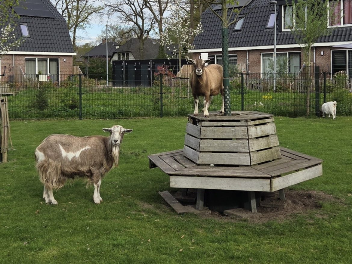 Mei vakantiegangers zoeken het hoger op