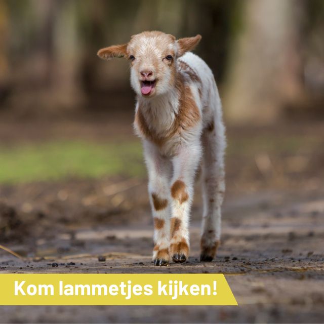 Lentefeest Tweede Paasdag