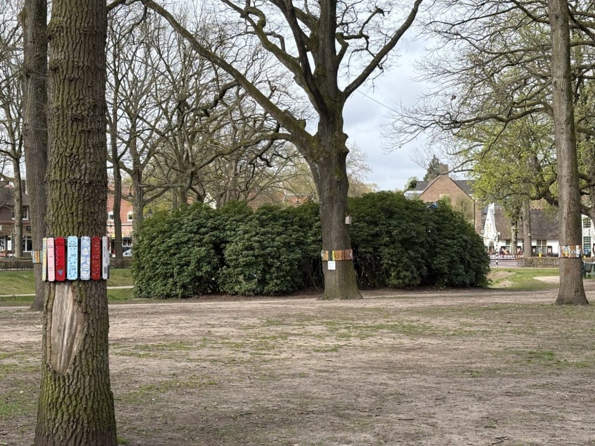 Wat gebeurt er met de rododendrons?