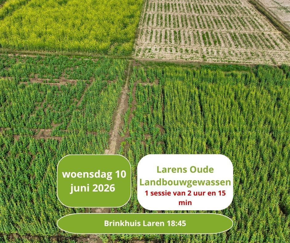 Ontdek de verborgen akkers van Laren!