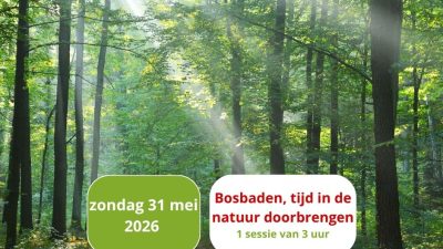 Gun jezelf een bosbad!