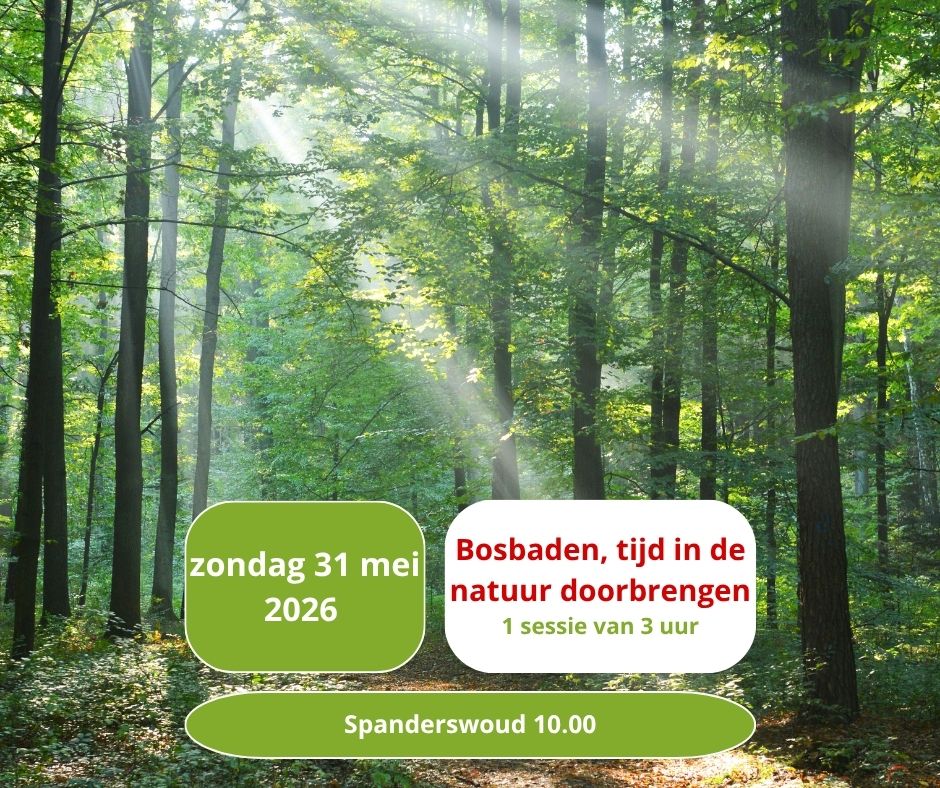 Gun jezelf een bosbad!