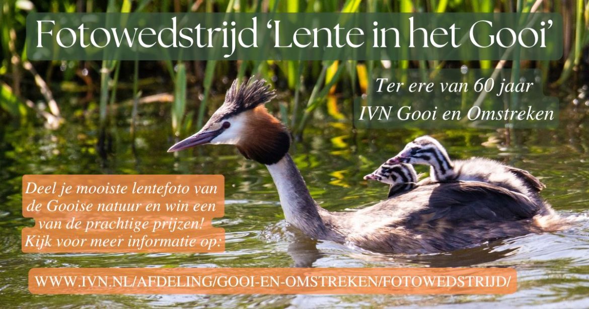 Fotowedstrijd IVN Gooi en Omstreken