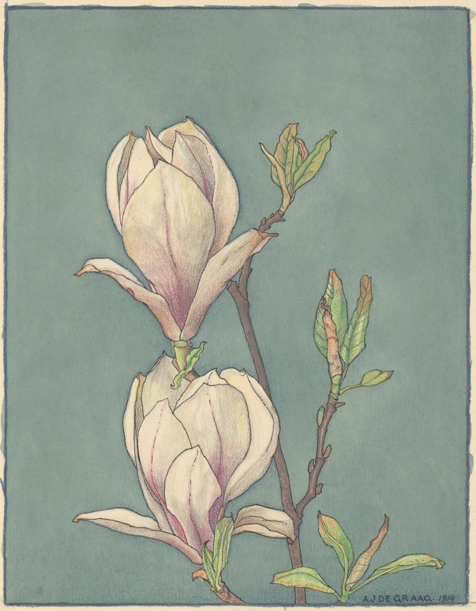 Maandag: 1400 x bekeken + Top 10 meest gelezen berichten