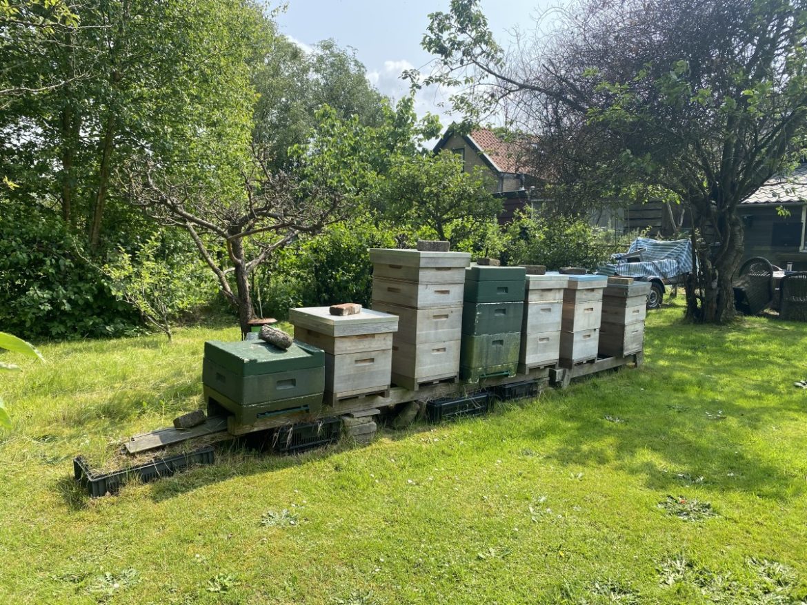 Zoeter dan honing is er niet! Ga mee op ontdekkingstocht met de Volksuniversiteit het Gooi!