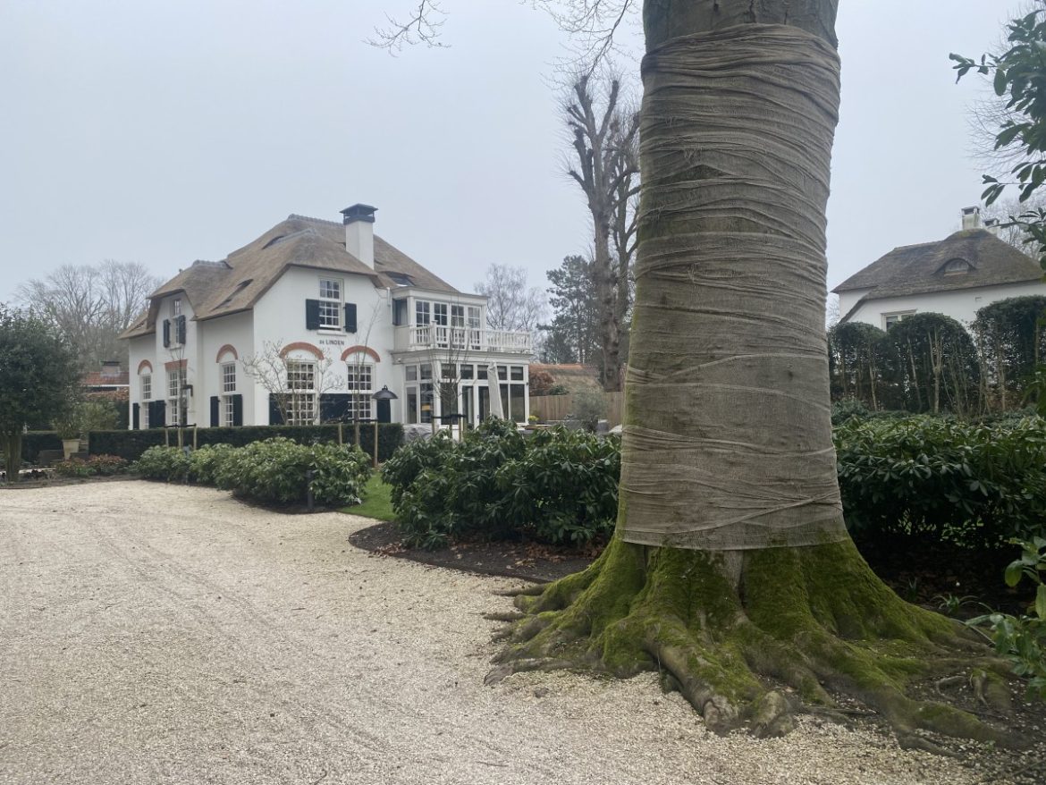 Dinsdag:1163x bekeken + Top 10 meest gelezen berichten