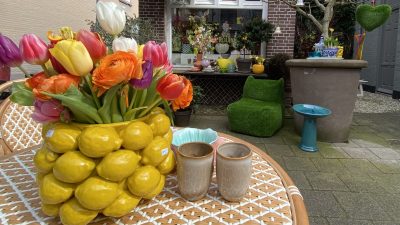 Vacatures Versa Vrijwilligerscentrale Blaricum, Eemnes en Laren (BEL)