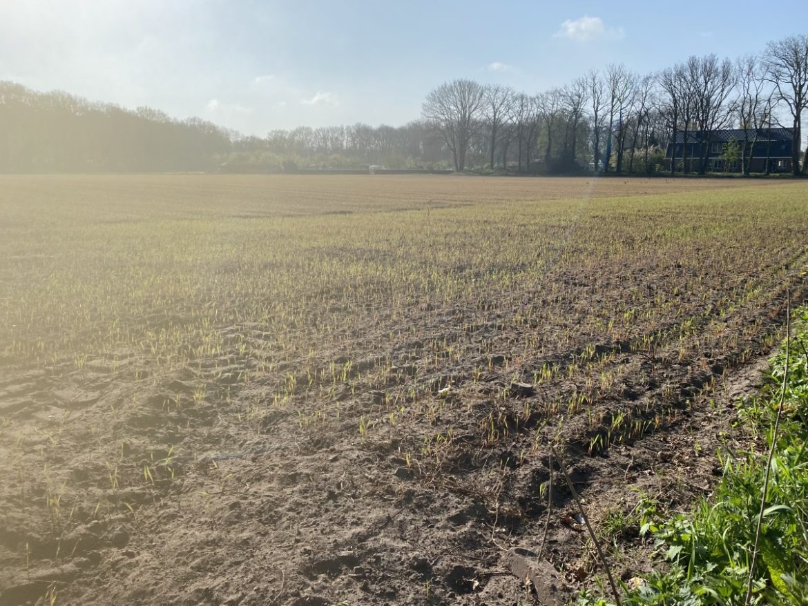 Woensdag:1344x bekeken +Top 10 meest gelezen berichten