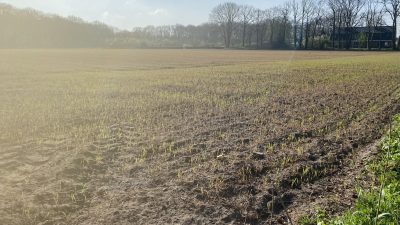 Woensdag:1344x bekeken +Top 10 meest gelezen berichten